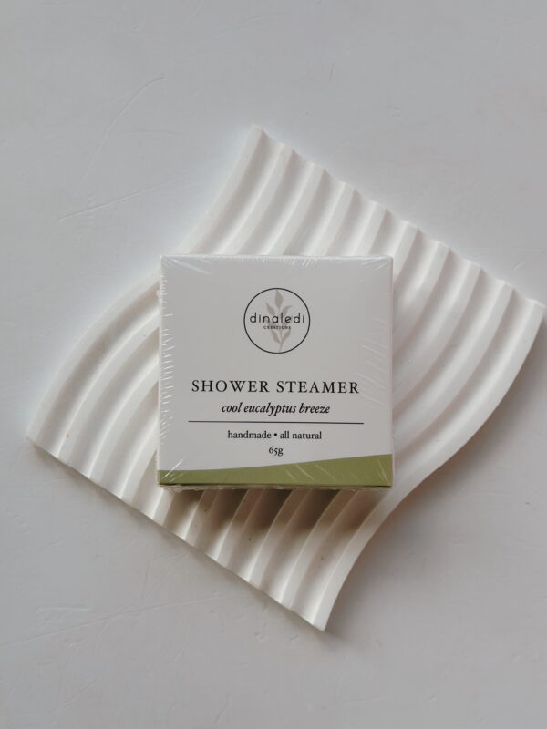 Body Product - Shower Steamer (Eucalyptus Breeze)